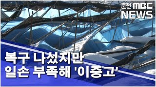 [춘천 MBC] 복구 나섰지만 일손 부족해 '이중고'