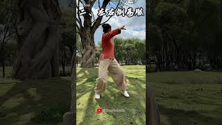 【1分钟太极拳】一分钟教会你太极拳【1 minute Tai Chi】#武术 #功夫 #太极拳 #Taichi #双截棍 #nunchaku #武术 #chineseculture #功夫