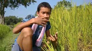 দৰংৰ মঠনী উৎসৱত যাওঁ বলক/sumu darrang💥💥