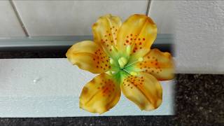 Flower for eat - Lily