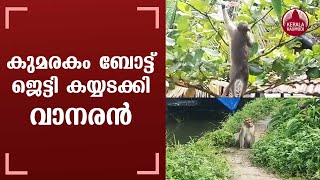 കുമരകം ബോട്ട് ജെട്ടി കയ്യടക്കി വാനരൻ | Monkey Annoyance in Kumarakom Boat Jetty Keralakaumudi