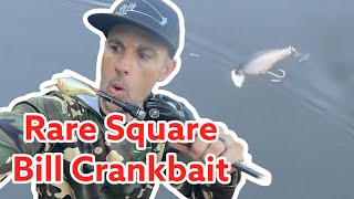 Rare Square Bill Crankbait