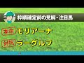 【アメリカジョッキークラブカップ2024】本命と対抗はコレで決まり🐴 ～ajcc枠順確定前のjra競馬予想～