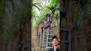 creative ideas of sugarcane farmers #ideas #tips #satisfying #farming #shorts #shortsfeed