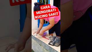 cara mengobati kucing sakit lemas gak mau makan kucing liar #shorts #subscribe