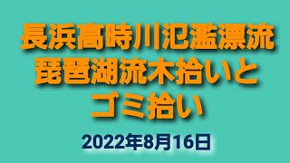 長浜高時川氾濫漂流琵琶湖流木拾いとゴミ拾い