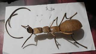 Make an Ant with coconut shell