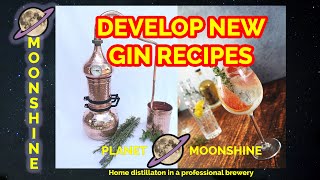 How to develop GIN RECIPES