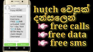 Hutch vesak offers