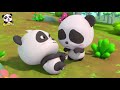 baby kitten s daddy got injured in forest fire super panda rescue team kids song babybus cartoon