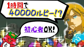 【密猟で稼ぐ】ルピーに困ったらまずはコレ　必要なものも全部拾えます～ゼルダの伝説 ブレスオブザワイルド～