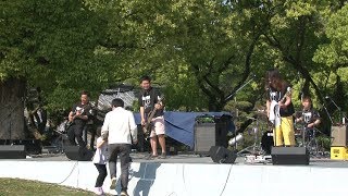 さぬき街ネタNEWS第163回C5  live4th　第44回丸亀お城村初日