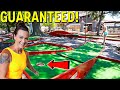 This Mini Golf Course has Crazy GUARANTEED Hole in One Bonus Options