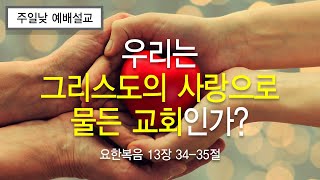 금란교회 주일 낮 예배 설교- 2024년 11월 3일 '우리는 그리스도의 사랑으로 물든 교회인가?'