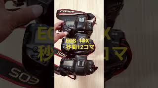 Canon歴代1DX シャッターサウンド聞き比べ　1DX Mark3, 1DX Mark2,1DX