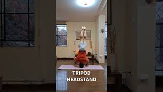 2024.09.22 #headstand