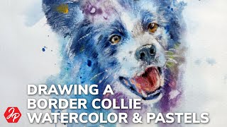 How to draw a border collie with watercolor and pastels