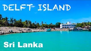 SRI LANKA'S SECRET HIDDEN PARADISE | DELFT ISLAND JAFFNA