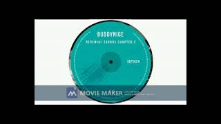 ROFSTEVE MIX 321(Buddynice - Redemial Sounds Chapter 2 -  Full Album Mix)