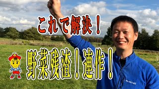 【自然栽培76】野菜栽培！質問に答えます！野菜の残渣はどうしてる？連作の力！！