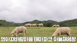 평창 여행 양떼목장 피자만들기 아이스크림만들기 고카트 체험 의야지 바람마을 테마파크 하늘체험장