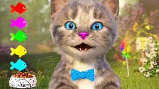 MY HAPPY LITTLE KITTEN ADVENTURE - NEW CAT AND PET CARE - LONG CARTOON SPECIAL MEOW