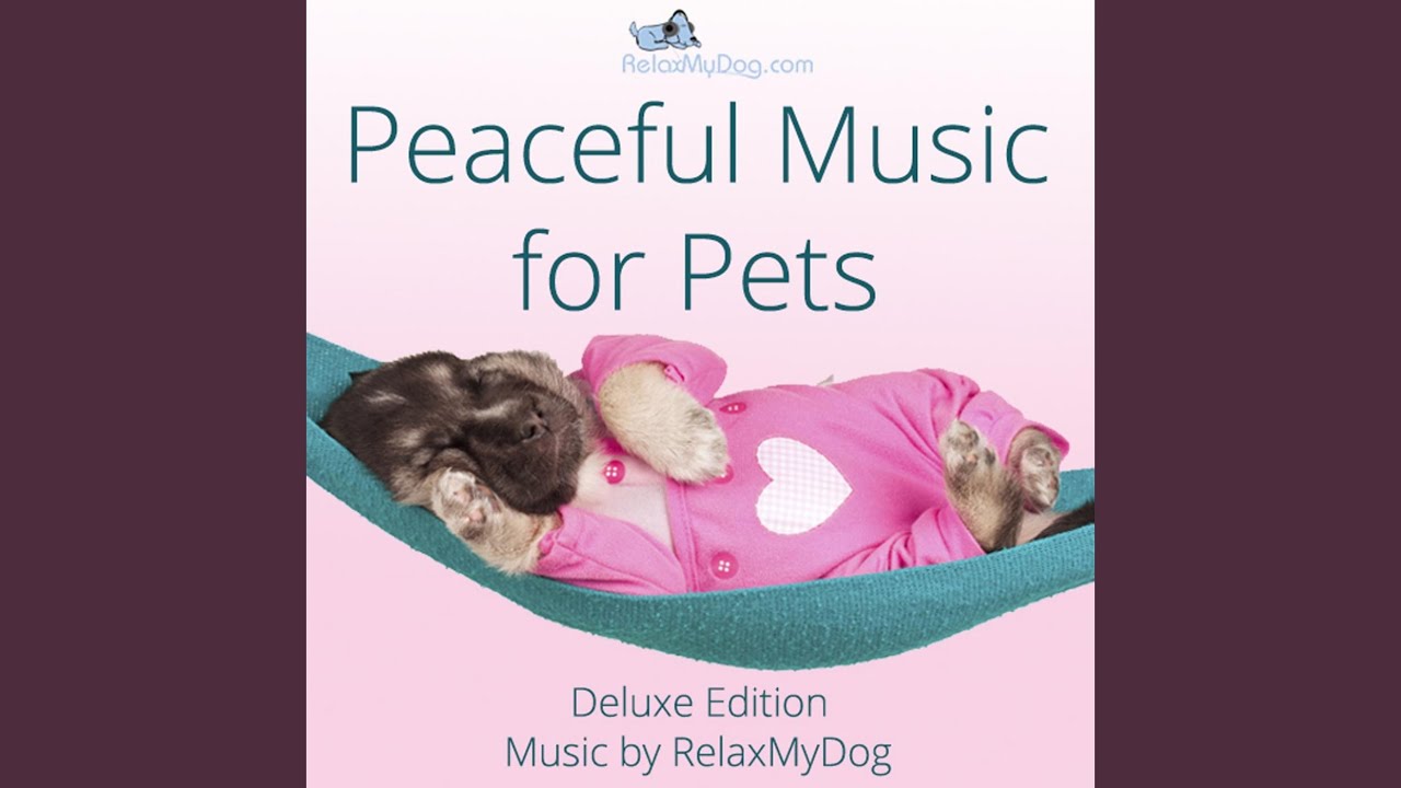 Bedtime Youtube Music