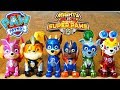 Paw Patrol Mighty Pups Super Paws Super Kitties Attack! New Pups Super Powers