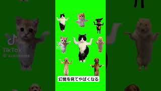 インフルエンザにかかってやばくなった話 #猫マニ #インフル #猫ミーム #shorts