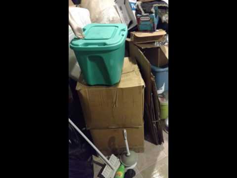 How to clean up after a Sewage Backup How to clean up after a Sewage Backup
