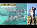 SPEARFISHING GREAT AMBERJACK WITH PATHOS SNIPER ROLLER