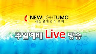 새빛연합감리교회 1월 19일 주일예배 Live