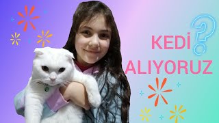 ESMA 'YA YENİ BİR KEDİ ALDIK - kedimizin adı ne?