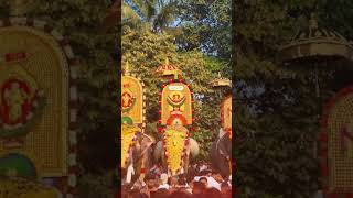 Thechikkottukkavu Ramachandran Mass Entry At Akkikkavu Pooram 2024 #thechikkottukavuramachandran