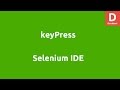 Selenium IDE keyPress