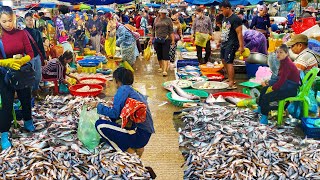 Freshwater Fish, Seafood Deals Market Hustle in Phnom Penh’s Wholesale Scene!