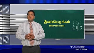 A/L Biology (உயிரியல்) தரம் 13 - இனப்பெருக்கம் -  P 12