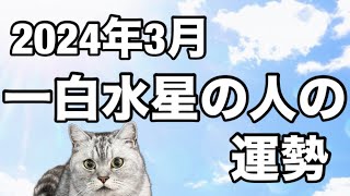 占い師 花岡錦龍チャンネル（一白水星の人の2024年の運勢と3月の運勢）