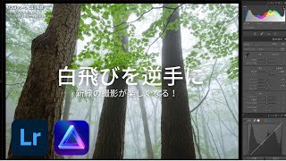 【Lightroom】新緑の現像・白飛びを逆手にとってイキイキした表現へ