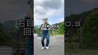 田舎くらしのメリット#福岡県 #地域おこし協力隊 #限界集落