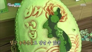 6시 내고향 - 시골길따라 인생길따라 - 강원도 양구군 2.20160801