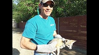 Conservation Lecture Series San Joaquin Valley Kit Fox