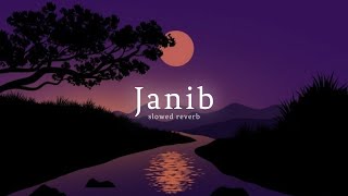 'Janib (Duet)' ( Slowed And Reverb ) | Arijit Singh | Divyendu Sharma | Nexus Music