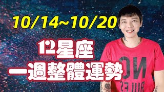 「星座」10/14～10/20《12星座》一週整體運勢🌟