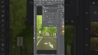 Photoshop 树叶颜色调整，颜色转换教程