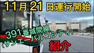 【路線紹介】東陽バス　391番城間線(パルコシティ)を紹介