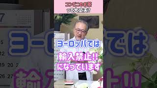 【妊活】実は控えてほしい、ペットボトルのお茶…