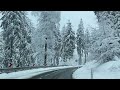 großer feldberg im taunus hessen germany