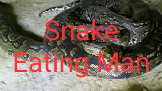 Snake Eating Man Watch Vedeo  പെരുമ്പാമ്പ് യുവാവിനെ വിഴുങ്ങി വീഡിയോ കാണാം