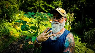 A preppers survival garden should be different